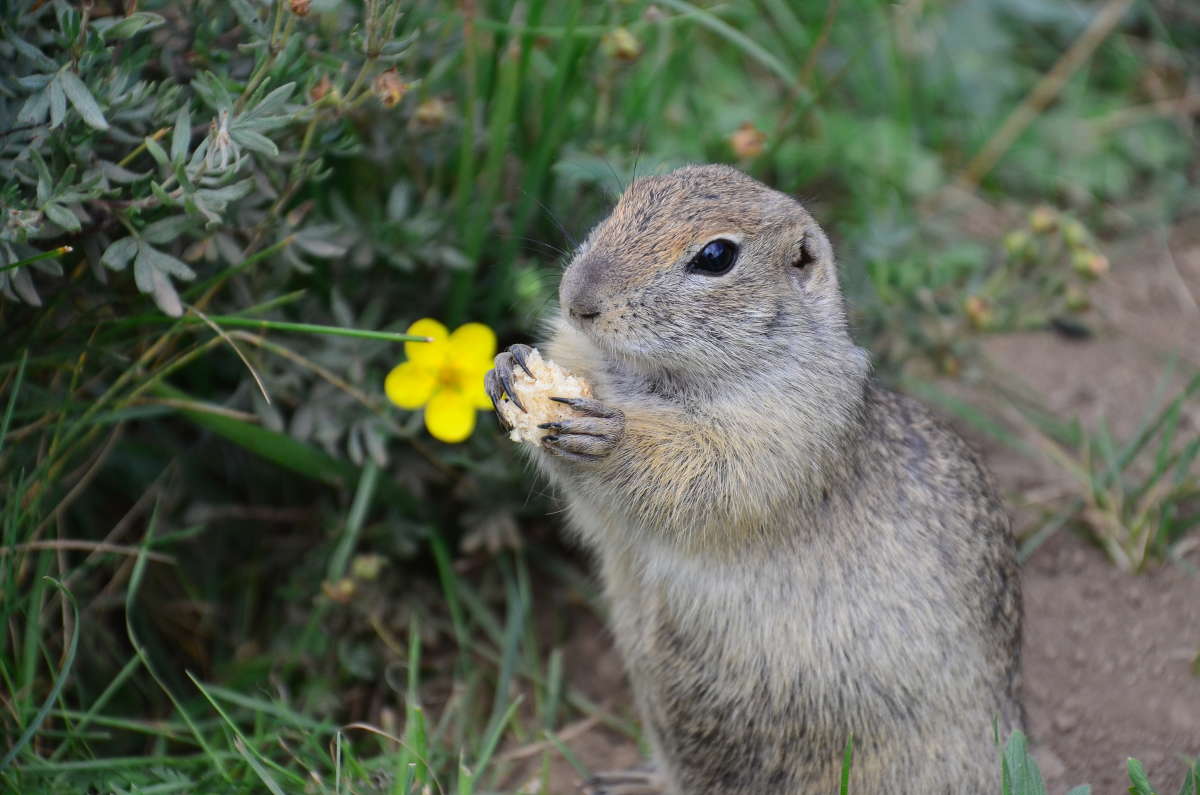 ������� ������ � ����� ����� ����  �� PhotoGeek.ru #�������� ��� #����� ��� ��� ���������