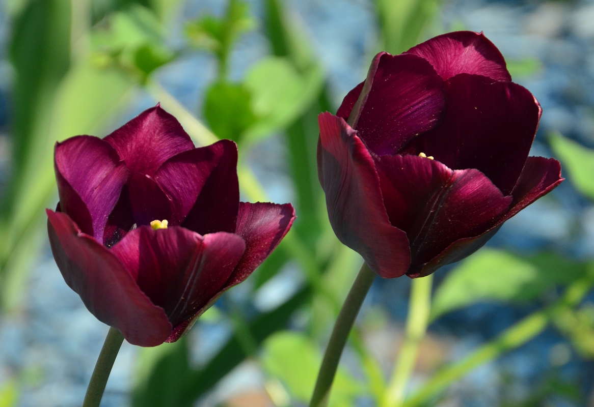 ... ����� ����  �� PhotoGeek.ru #������ ��� ������� #����� �������������� #���������