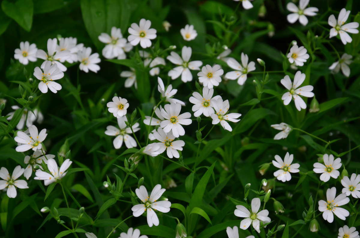 ����� � ��� ����� ����  �� PhotoGeek.ru #������ ��� ������� #����� �������������� #���������