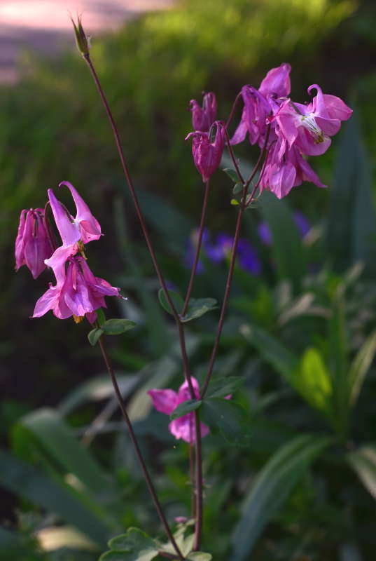 ����� � ��� ����� ����  �� PhotoGeek.ru #������ ��� ������� #����� �������������� #���������