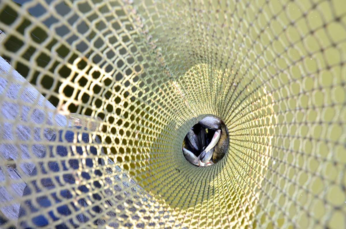 ��� ������, ��� � ���� ����� ����  �� PhotoGeek.ru #���������