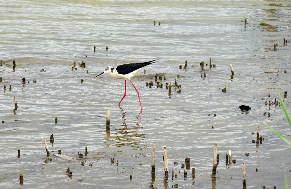 ����� ����� ����  �� PhotoGeek.ru #�������� ��� #����� ��� ��� ���������