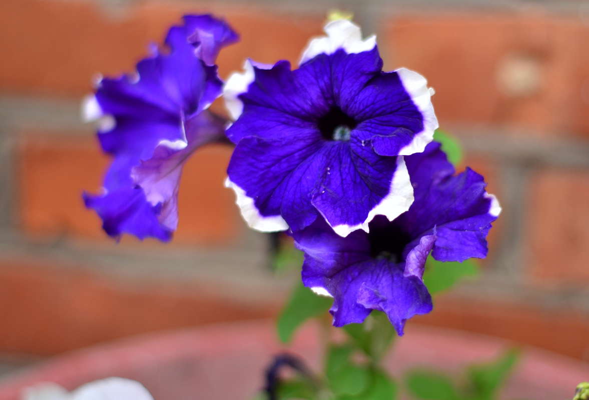 *** ����� ����  �� PhotoGeek.ru #������ ��� ������� #����� �������������� #���������