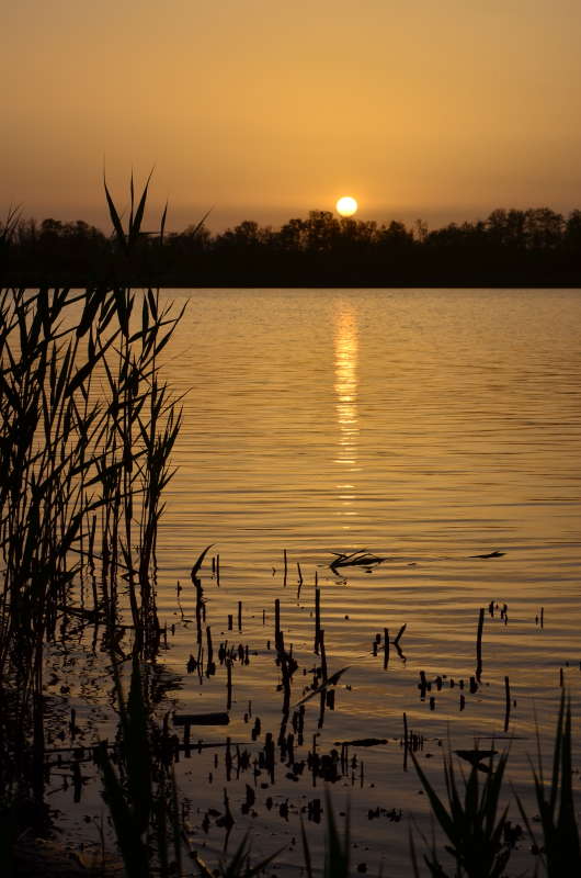 ����� ��� ����� ����� ����  �� PhotoGeek.ru #������ ��� ������� #���������