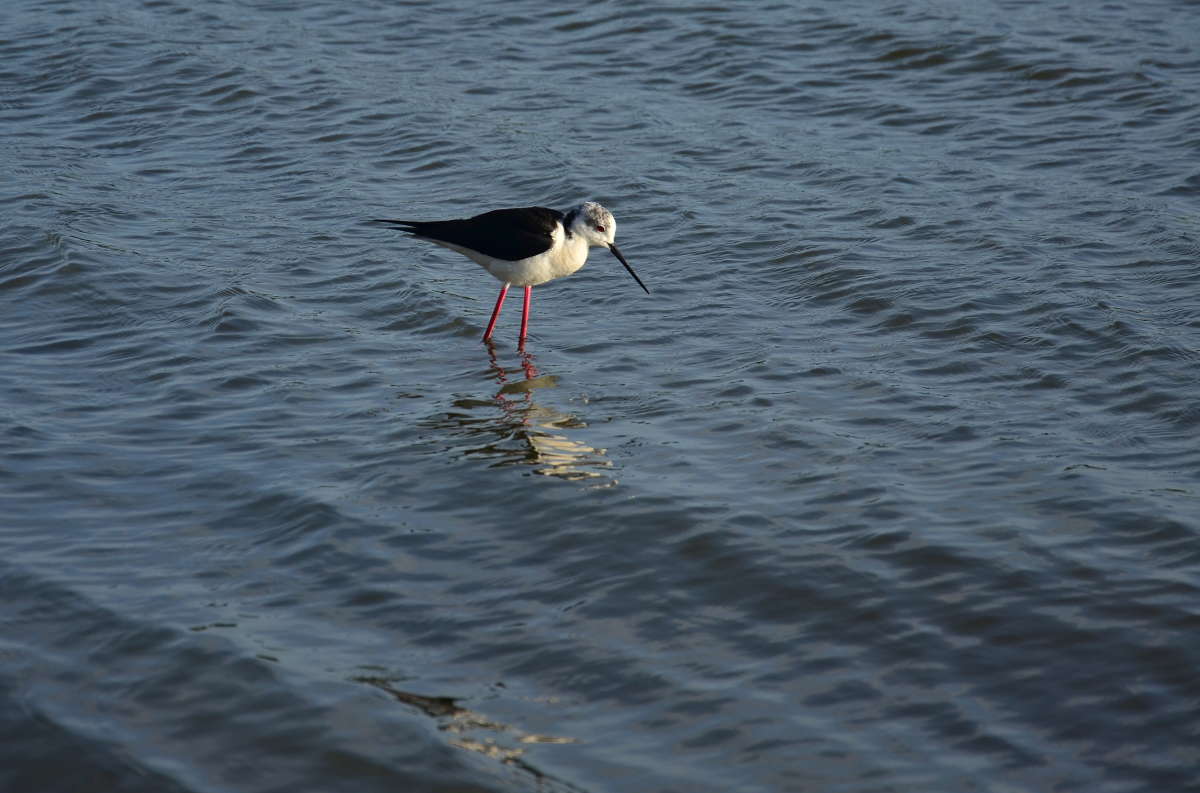 ... ����� ����  �� PhotoGeek.ru #�������� ��� #����� ��� ��� ���������