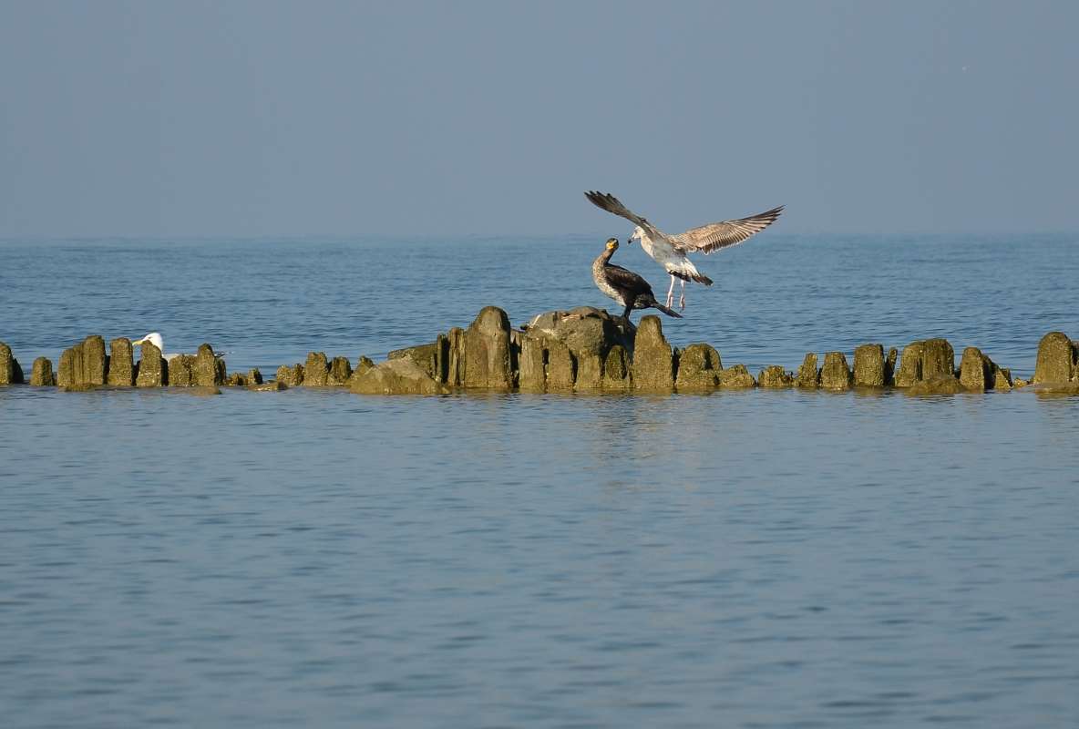 ... ����� ����  �� PhotoGeek.ru #�������� ��� #����� ��� ��� ���������