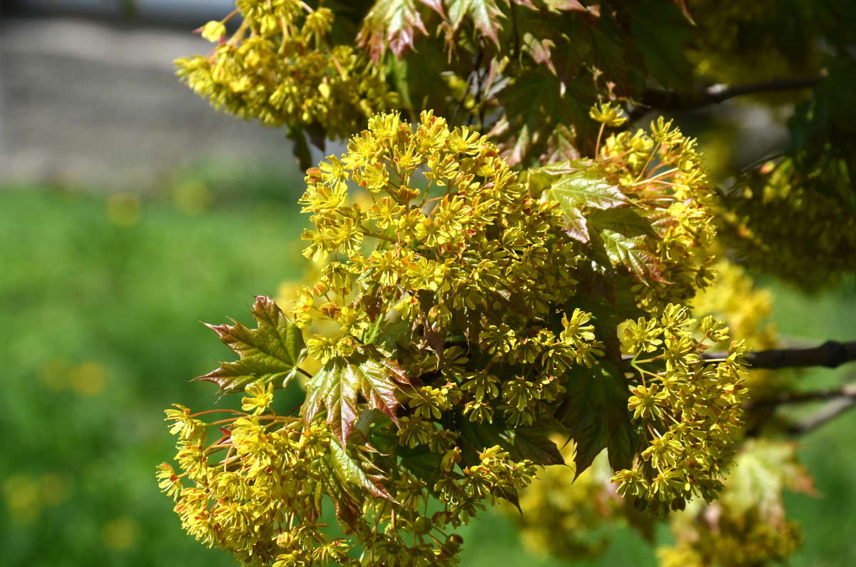 ��� ����� ����  �� PhotoGeek.ru #������ ��� ������� #����� �������������� #���������