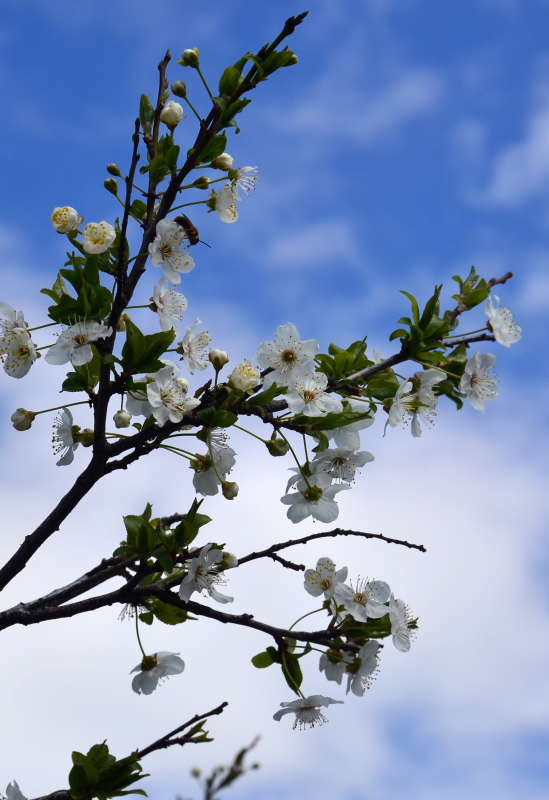 ����� � ����� ������ ����� ����  �� PhotoGeek.ru #������ ��� ������� #����� �������������� #���������