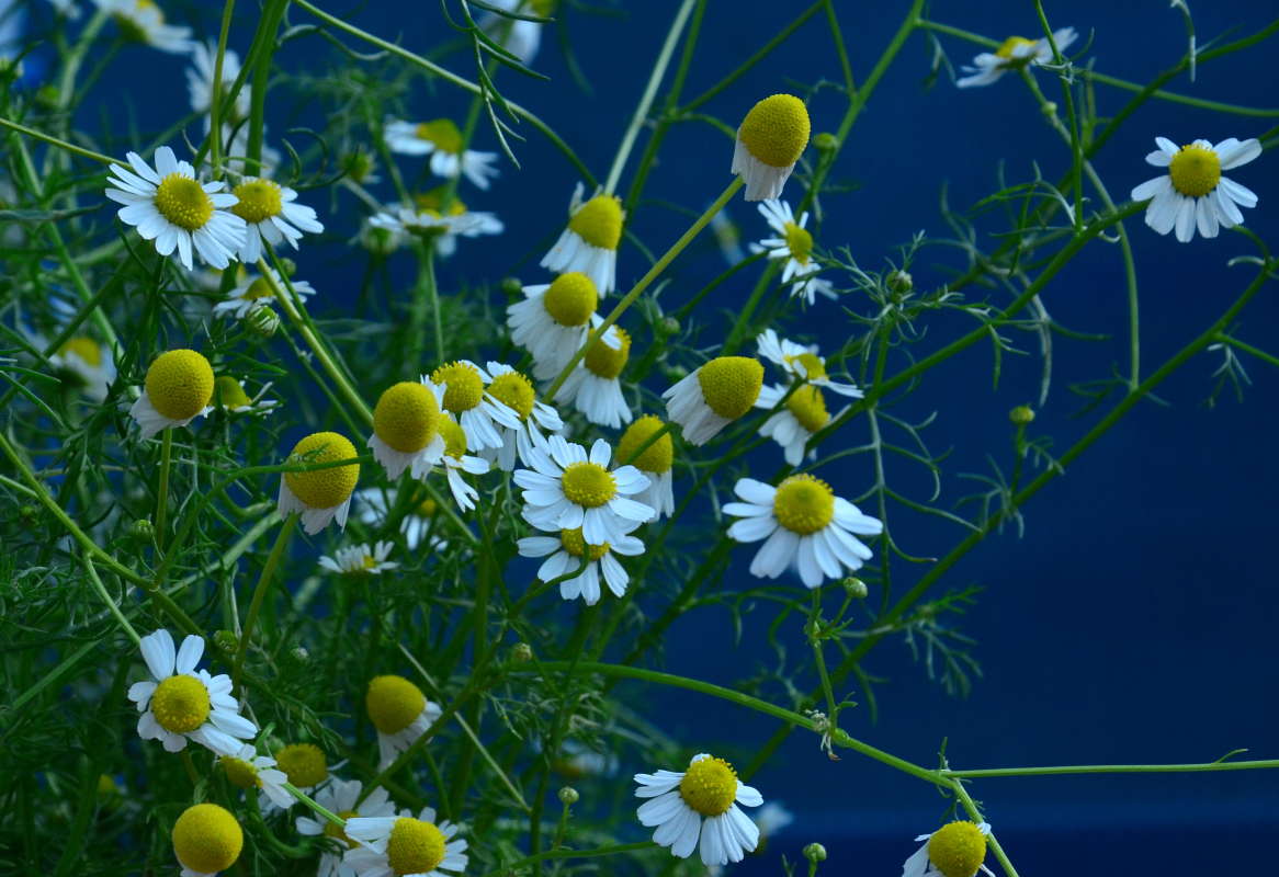 ��� � ������ ����� ����  �� PhotoGeek.ru #������ ��� ������� #����� �������������� #���������