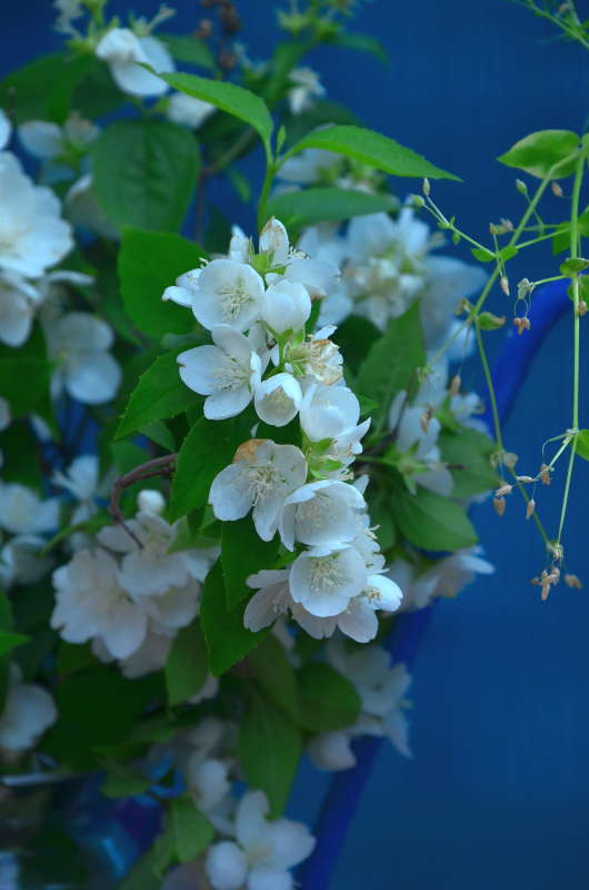 ������ ����� ����  �� PhotoGeek.ru #������ ��� ������� #����� �������������� #���������