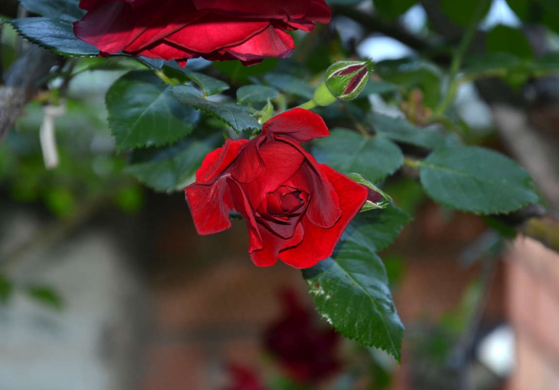 � ��� ���� ����� ����  �� PhotoGeek.ru #������ ��� ������� #����� �������������� #���������