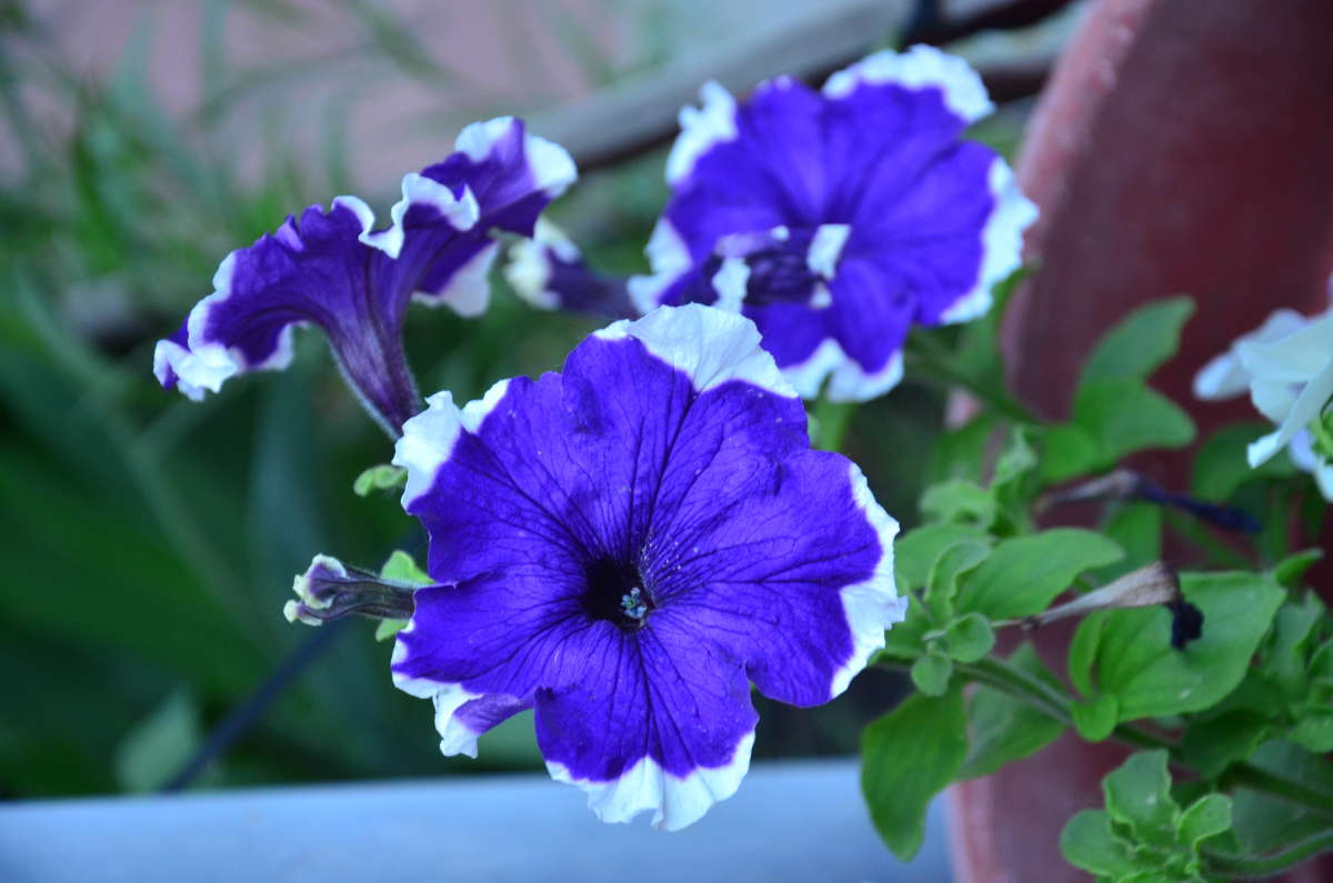 ... ����� ����  �� PhotoGeek.ru #������ ��� ������� #����� �������������� #���������