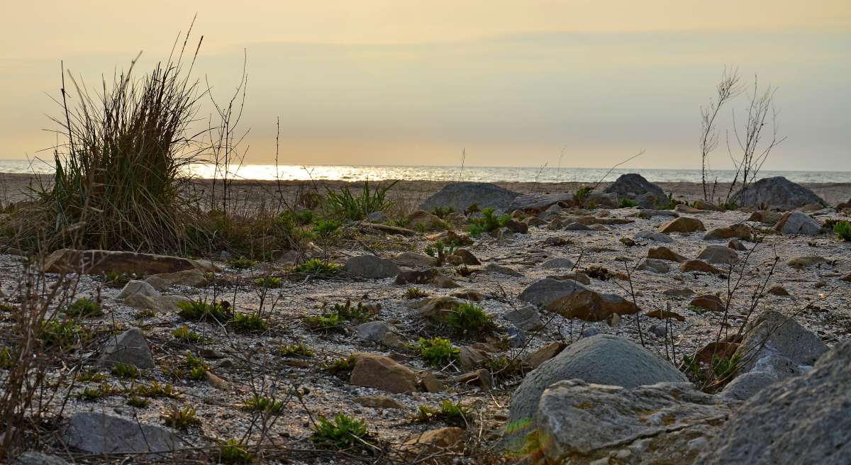 ������ ������� ����� ����  �� PhotoGeek.ru #������ ��� �������