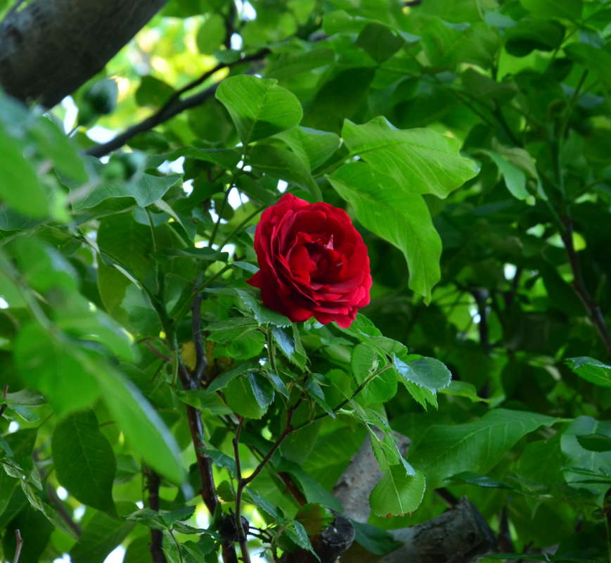 *** ����� ����  �� PhotoGeek.ru #������ ��� ������� #����� �������������� #���������