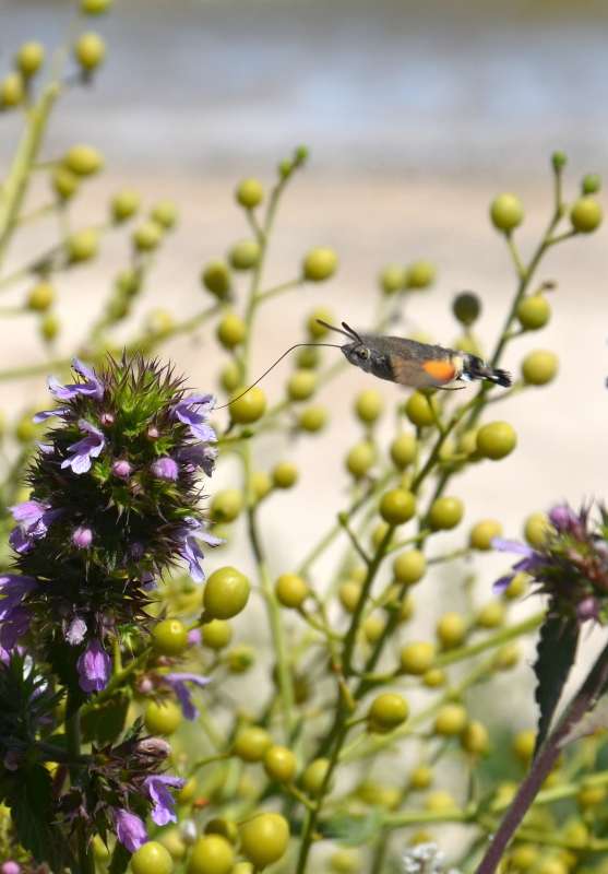 ���� ������� ����� ����  �� PhotoGeek.ru #����� #�������� ��� #����� ��� ��� ��������� #���������