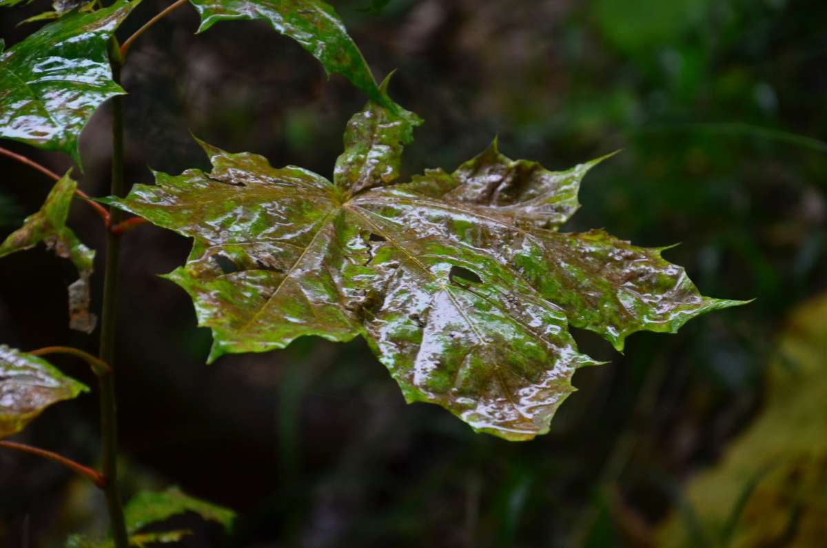 ����� ����� ����� ����  �� PhotoGeek.ru #������ ��� ������� #����� �������������� #���������