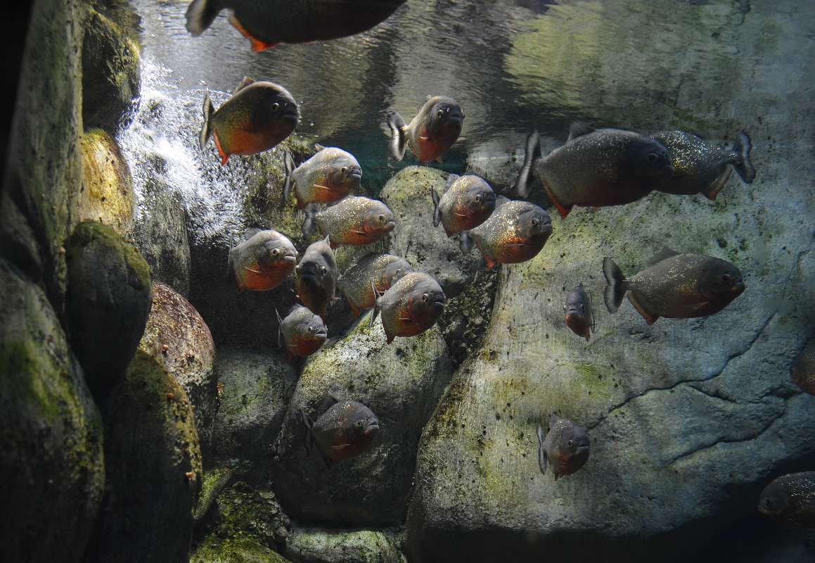 ����������  � ������ ����� ����  �� PhotoGeek.ru #����� #�������� ���