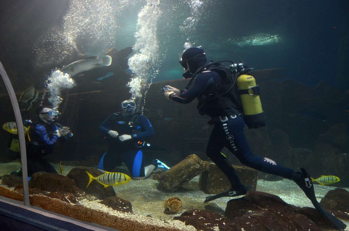 ����������  � ������ ����� ����  �� PhotoGeek.ru #����� #�������� ����������