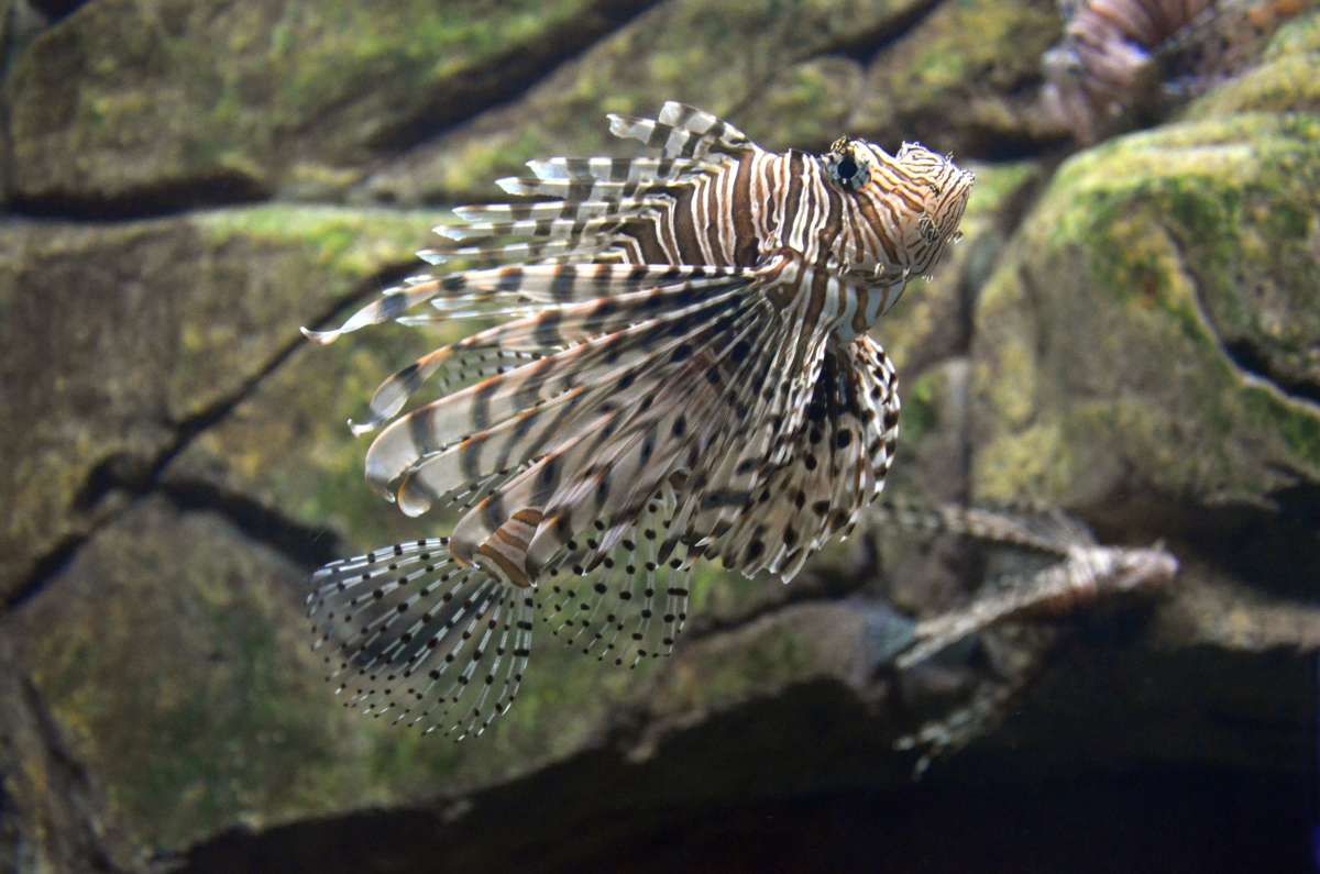 ����������  � ������ ����� ����  �� PhotoGeek.ru #����� #�������� ���