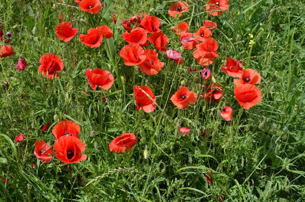 ... ����� ����  �� PhotoGeek.ru #������ ��� ������� #����� �������������� #���������