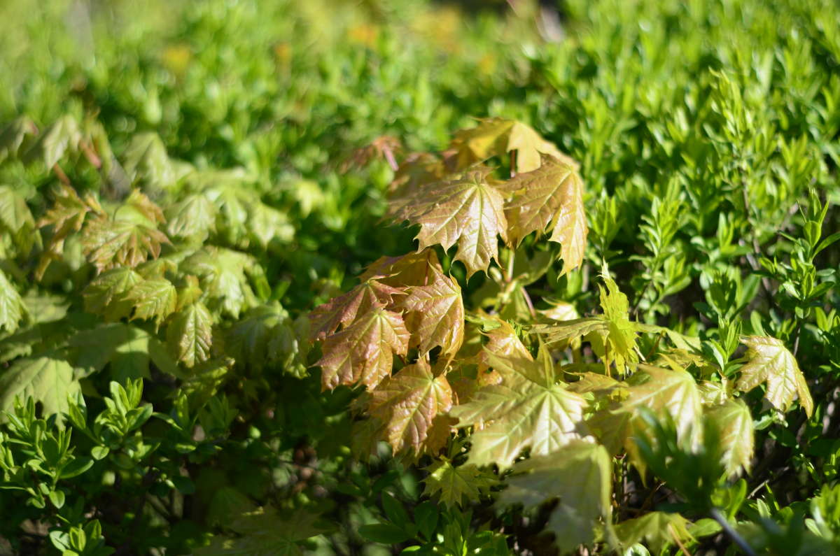 �������� ���� ����� ����  �� PhotoGeek.ru #������ ��� ������� #����� �������������� #���������