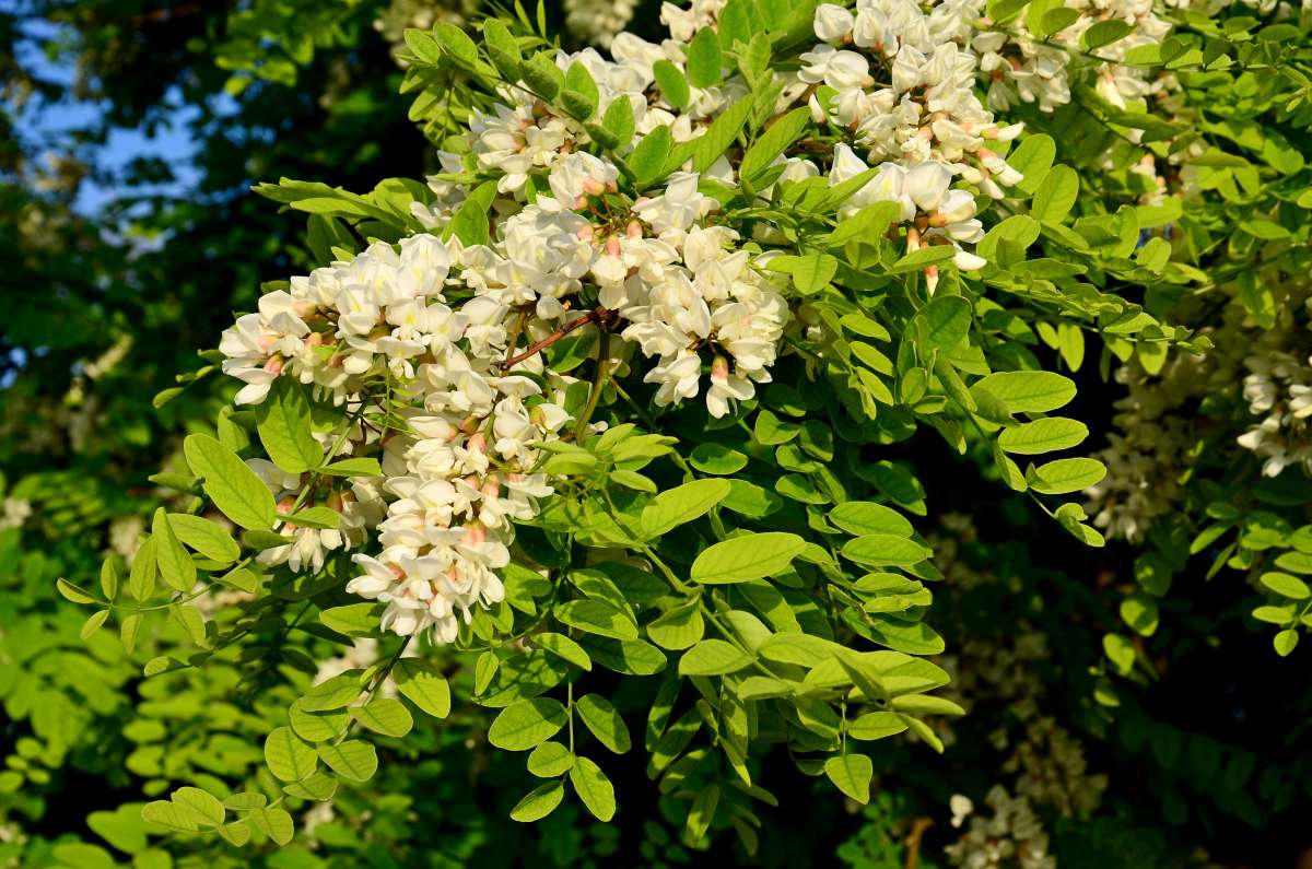 ������ ����� ����  �� PhotoGeek.ru #������ ��� ������� #����� �������������� #���������