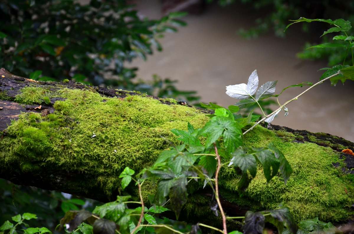 *** ����� ����  �� PhotoGeek.ru #������ ��� ������� #����� �������������� #���������