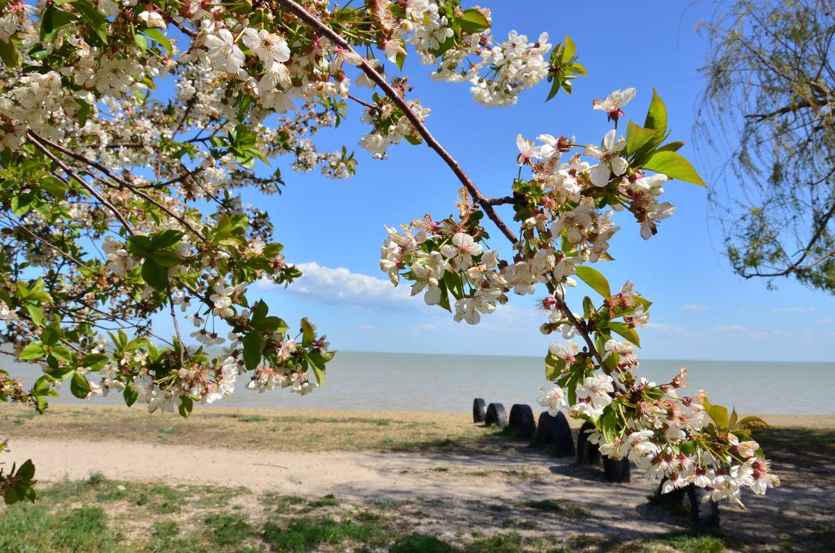 �������� ���������� ����� ����  �� PhotoGeek.ru #������ ��� ������� #����� �������������� #���������