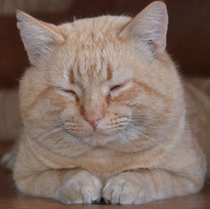 ���� ����� ����  �� PhotoGeek.ru #�������� ���