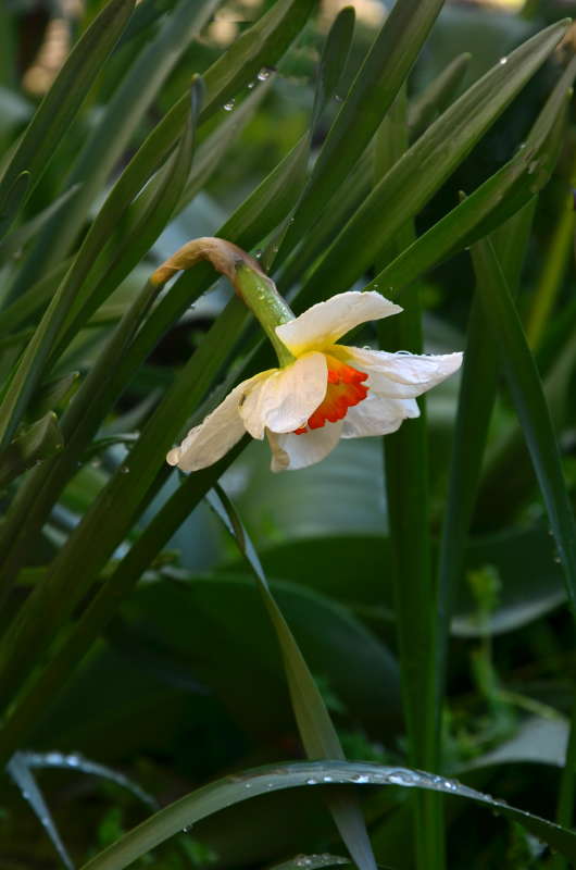 ... ����� ����  �� PhotoGeek.ru #������ ��� ������� #����� �������������� #���������