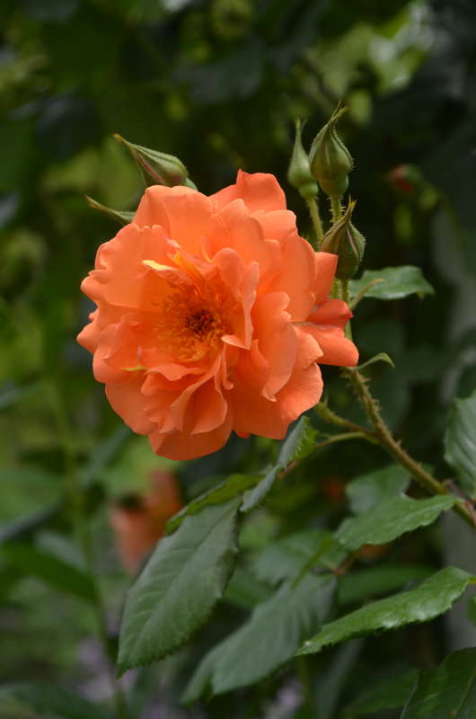 *** ����� ����  �� PhotoGeek.ru #������ ��� ������� #����� �������������� #���������