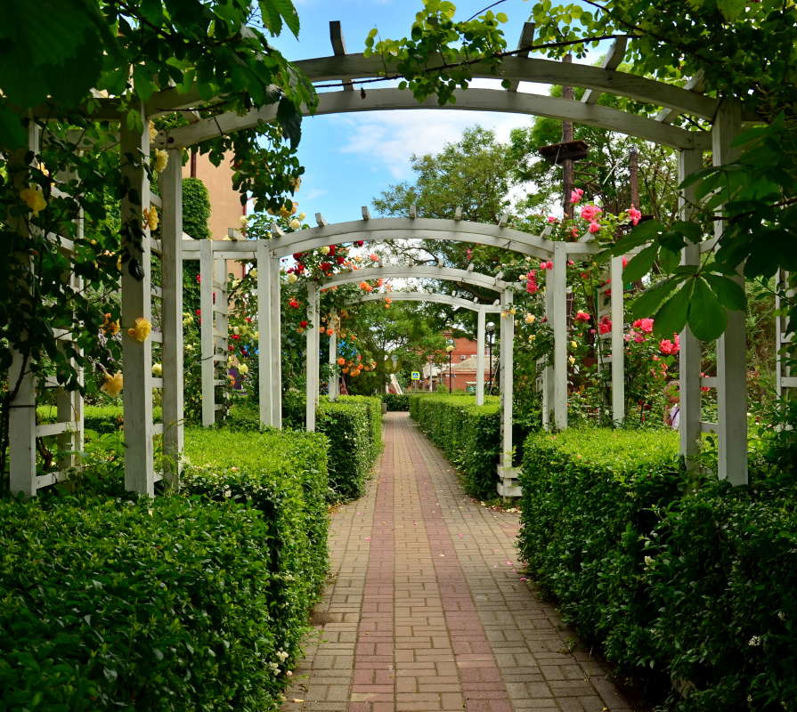 ������� � ���� ����� ����  �� PhotoGeek.ru #������ ��� ������� #����� �������������� #���������