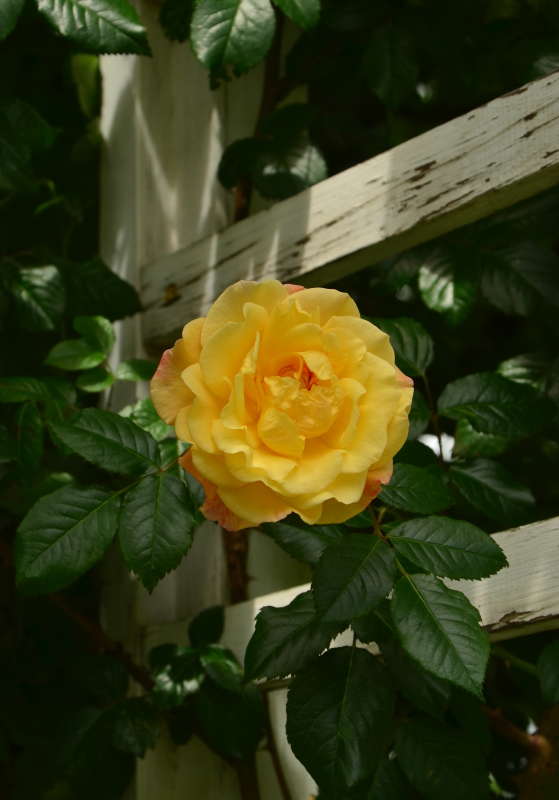 ... ����� ����  �� PhotoGeek.ru #������ ��� ������� #����� �������������� #���������