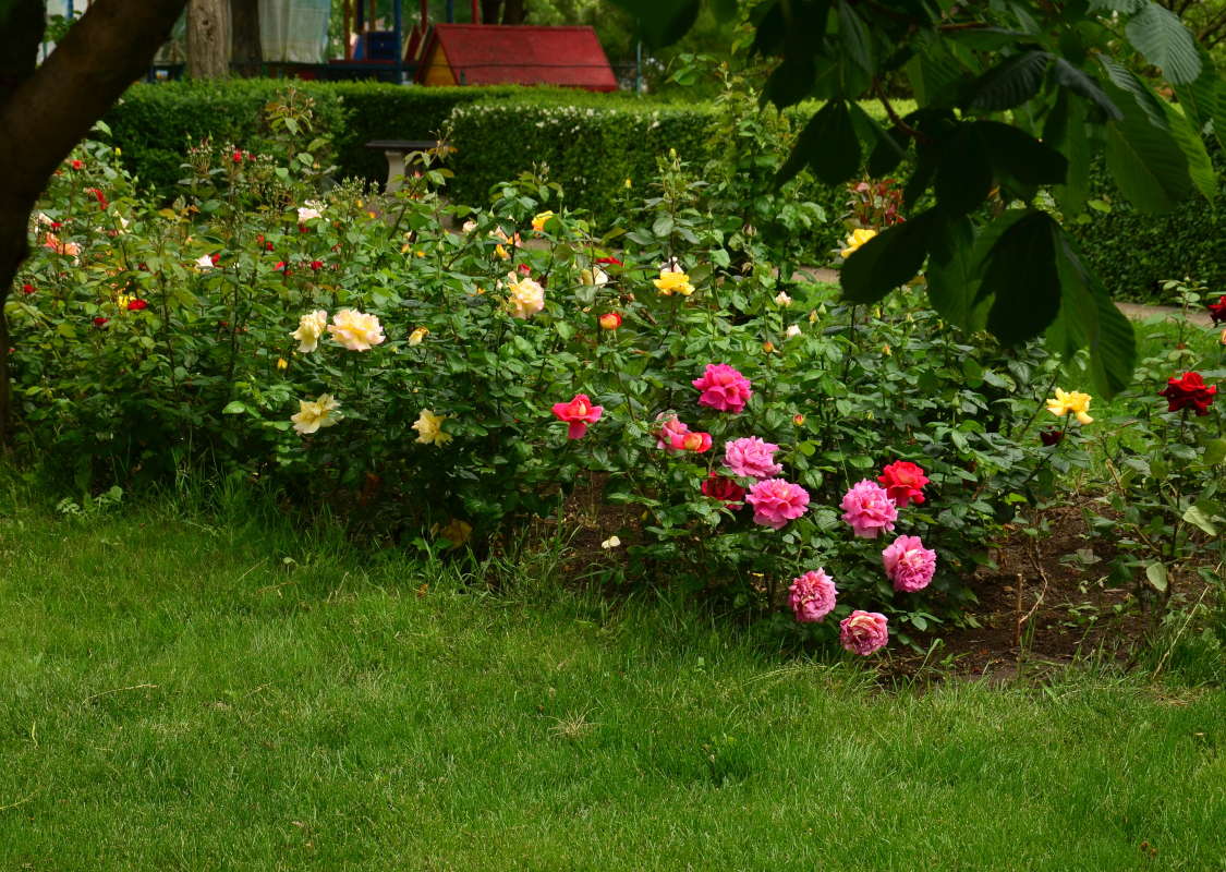 ������� ���� ����� ����  �� PhotoGeek.ru #������ ��� ������� #����� �������������� #���������