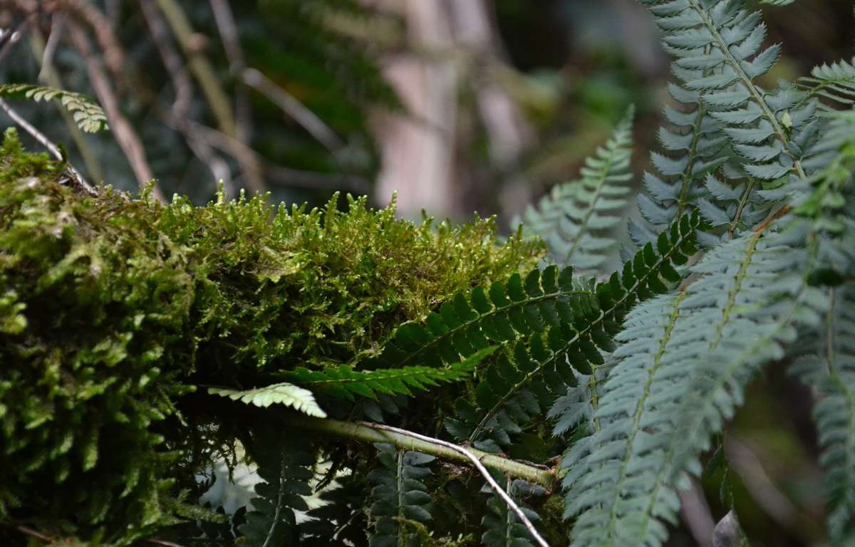 *** ����� ����  �� PhotoGeek.ru #������ ��� ������� #����� �������������� #���������