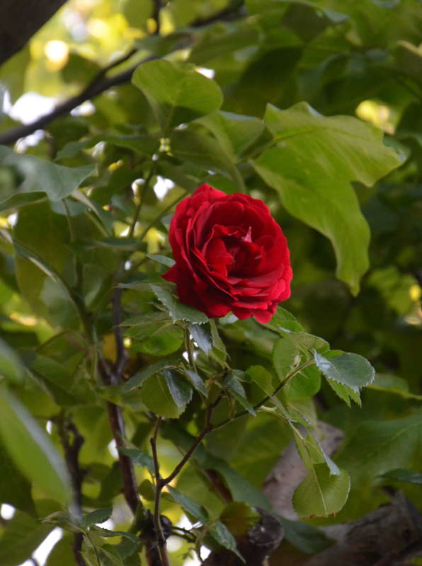 ... ����� ����  �� PhotoGeek.ru #������ ��� ������� #����� �������������� #���������