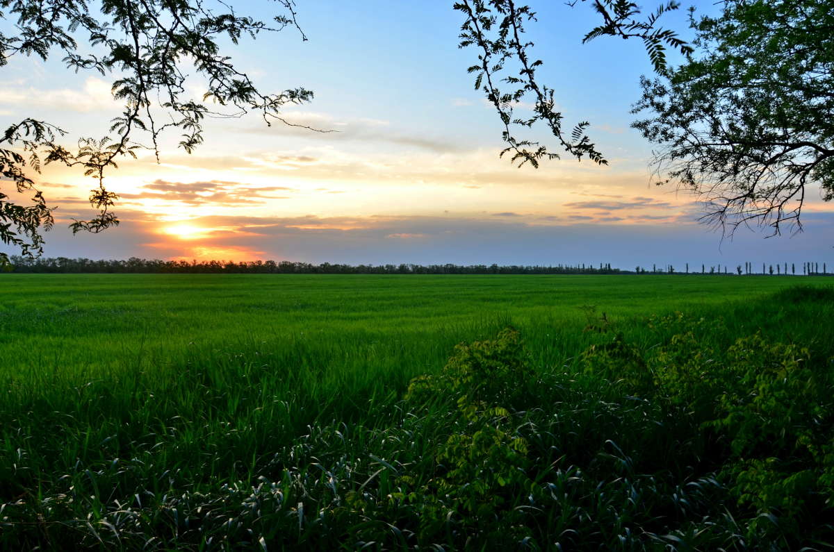 ... ����� ����  �� PhotoGeek.ru #������ ��� ������� #���������