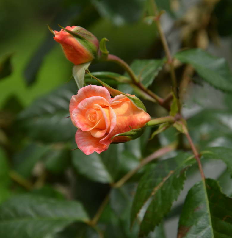 ... ����� ����  �� PhotoGeek.ru #������ ��� ������� #����� �������������� #���������