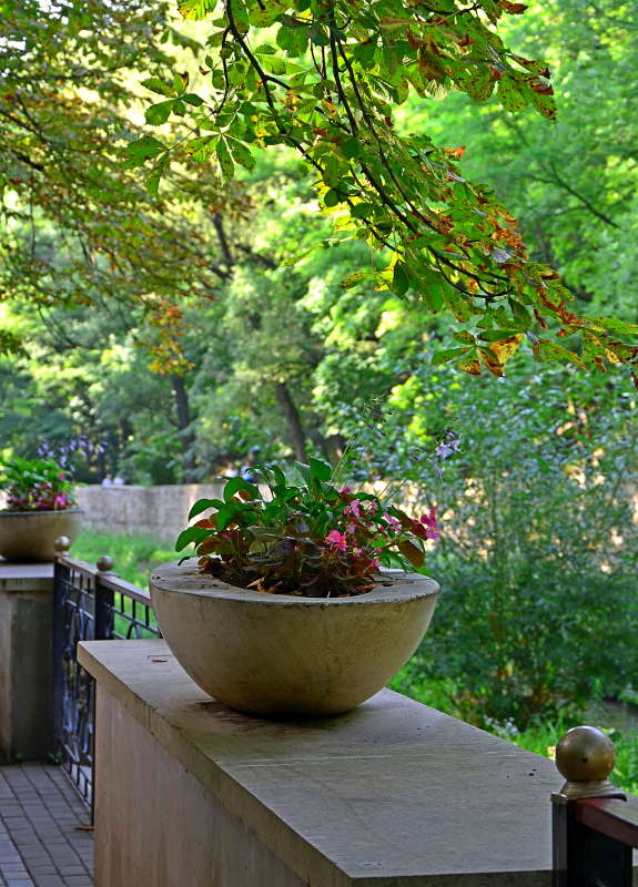 ��� ���� ����� ����  �� PhotoGeek.ru #������ #����� �������������� #���������