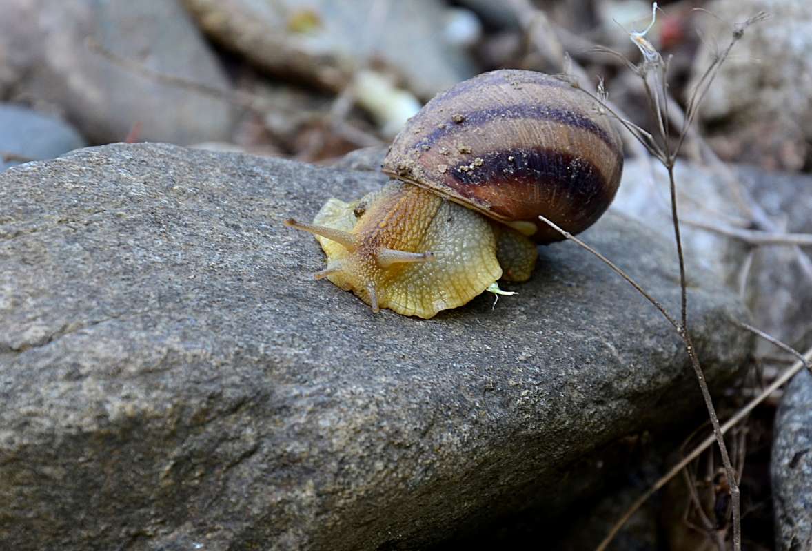 ��������, �� �������� ����� ����  �� PhotoGeek.ru #����� #�������� ��� #���������