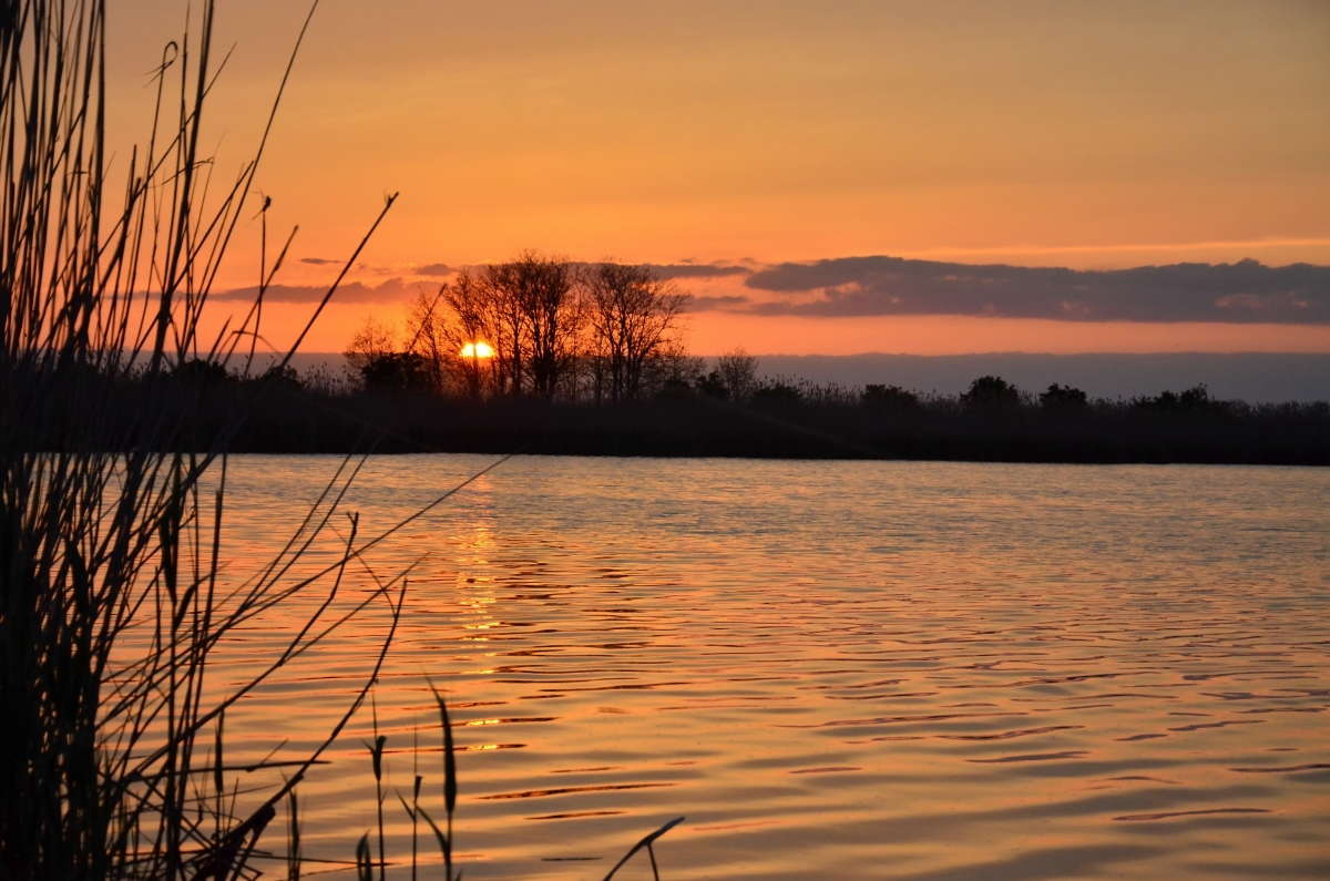 *** ����� ����  �� PhotoGeek.ru #������ ��� ������� #���������