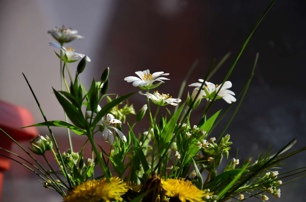 *** ����� ����  �� PhotoGeek.ru #������ ��� ������� #����� �������������� #���������