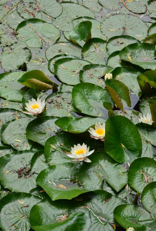 ... ����� ����  �� PhotoGeek.ru #������ ��� ������� #�������� #����� �������������� #���������