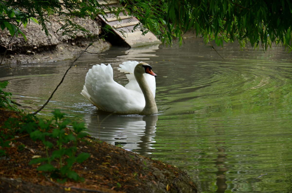 ��� ��������� ����� ����  �� PhotoGeek.ru #�������� ��� #��������