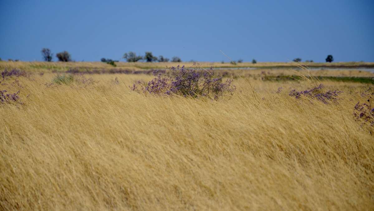 � ����� �������� ����� ����  �� PhotoGeek.ru #������ ��� ������� #���������