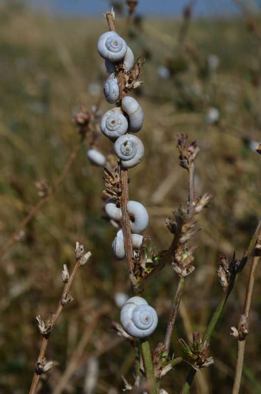 ��������� ����, ��� �������� ����� ����  �� PhotoGeek.ru #����� #�������� ��� #������ ��� �������