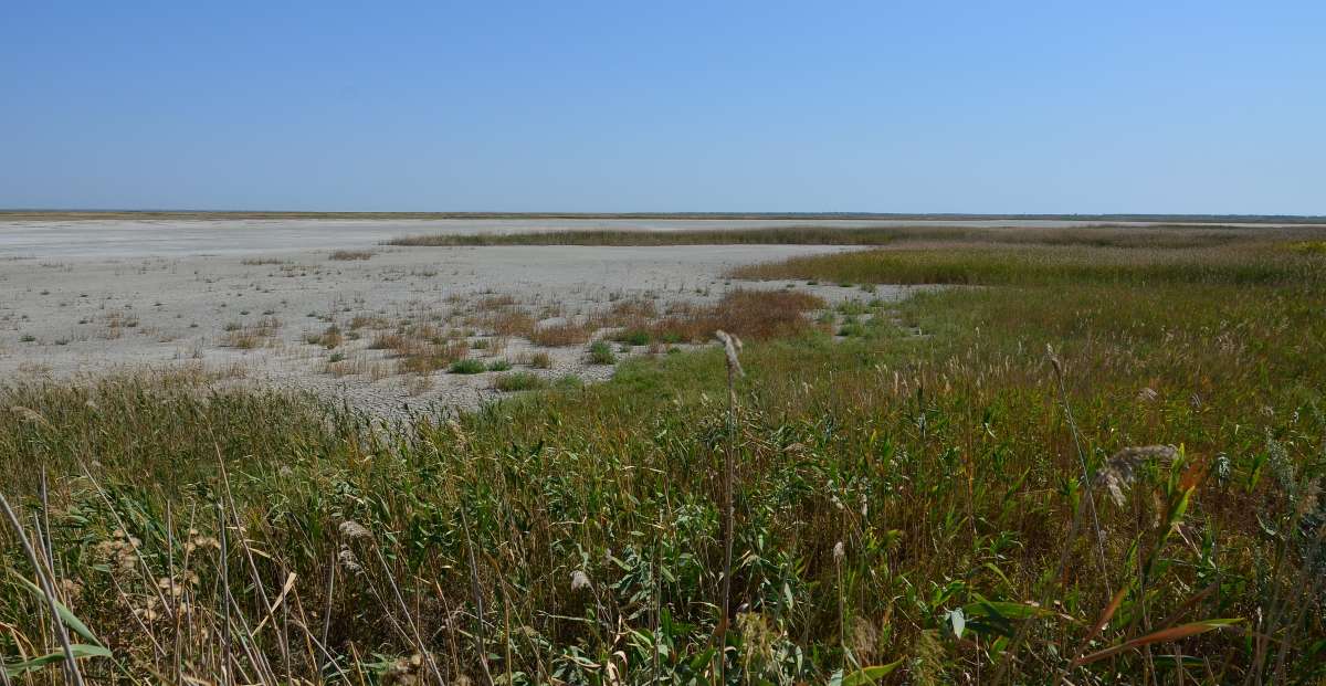 ������� ����� 2018 � ����� ����  �� PhotoGeek.ru #������ ��� ������� #���������