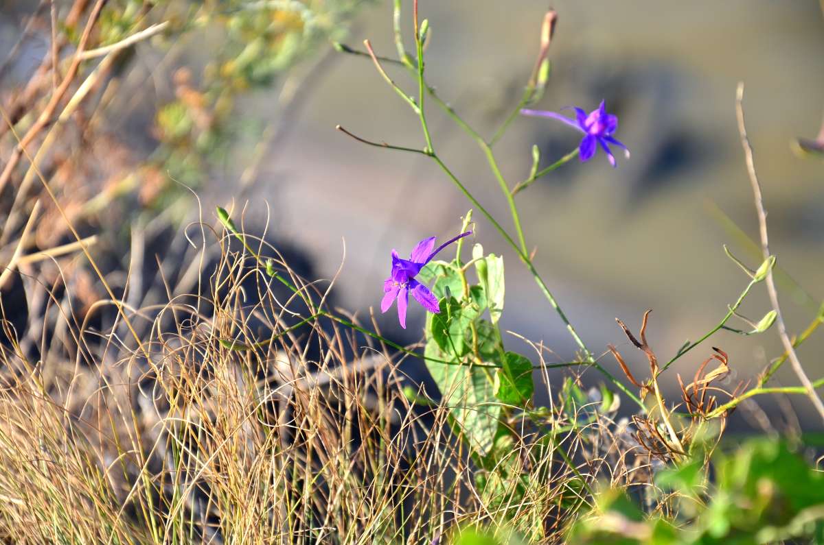 ��������� �������������� ����� ����  �� PhotoGeek.ru #����� #������ ��� ������� #����� �������������� #���������