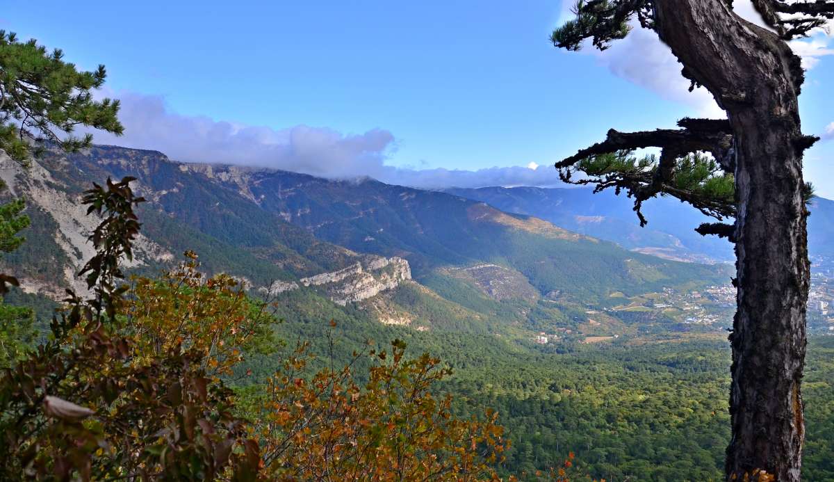 ������� ����� ����� ����  �� PhotoGeek.ru #������ ��� ������� #����� �������������� #���������