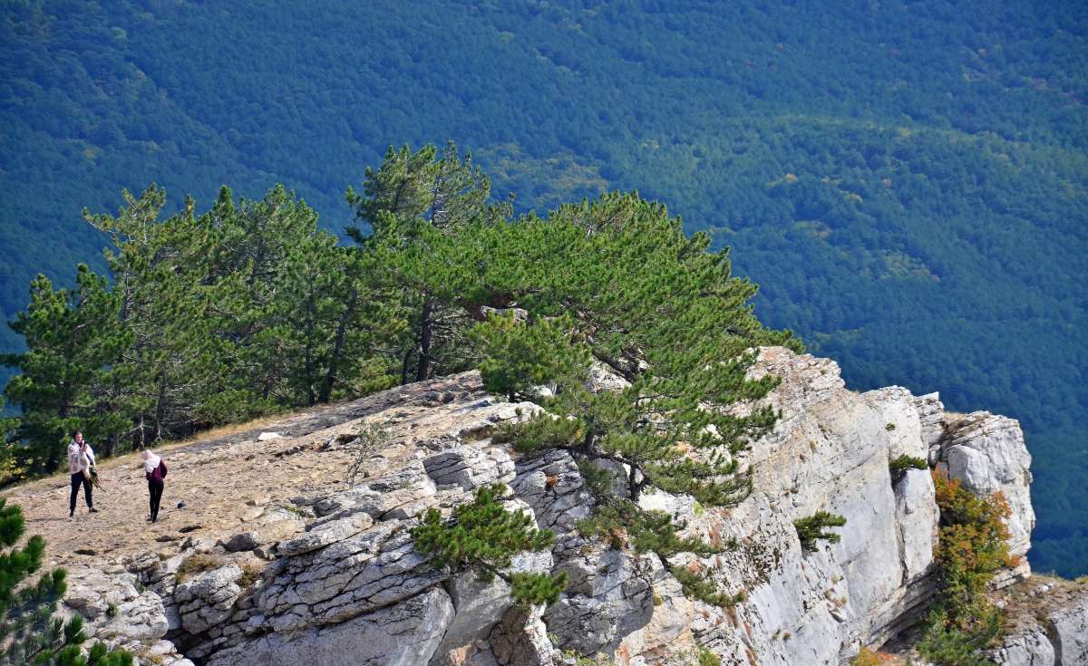 � ����� ����� ����� ����  �� PhotoGeek.ru #������ ��� �������